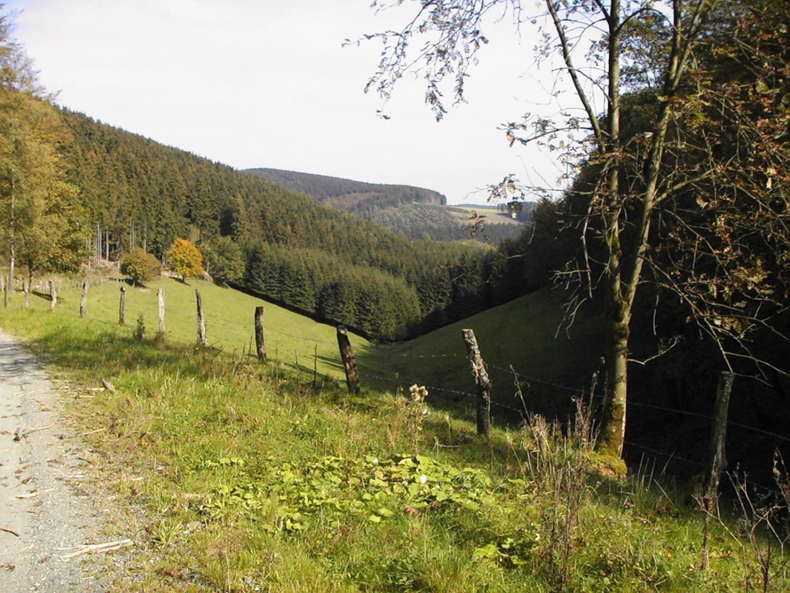 Hotel Sonneneck Winterberg Exterior foto
